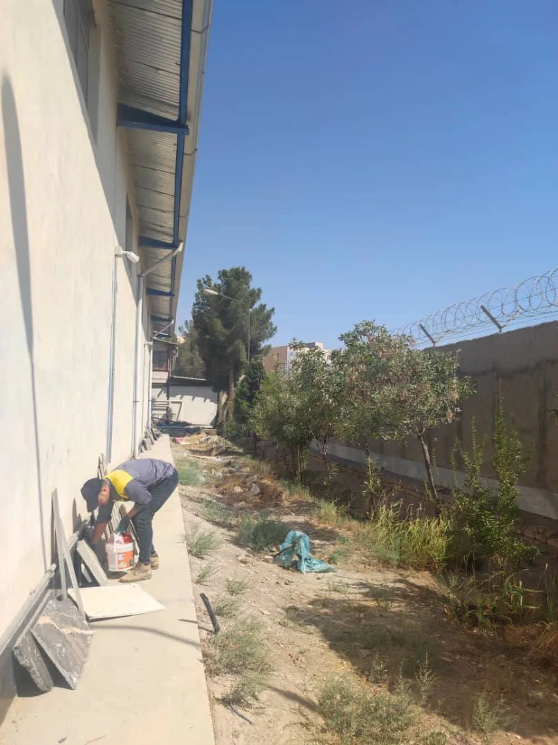 نمونه کار سمپاشی کرج